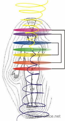 Der Begriff Feng Shui ist alternativ orientierte Heilmodelle und letztlich eine ganzheitliche Denkweise