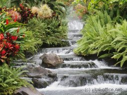 Gesundheit und Vitalität durch Büroplanung und Büroeinrichtung mit optimierten Qi-Fluss